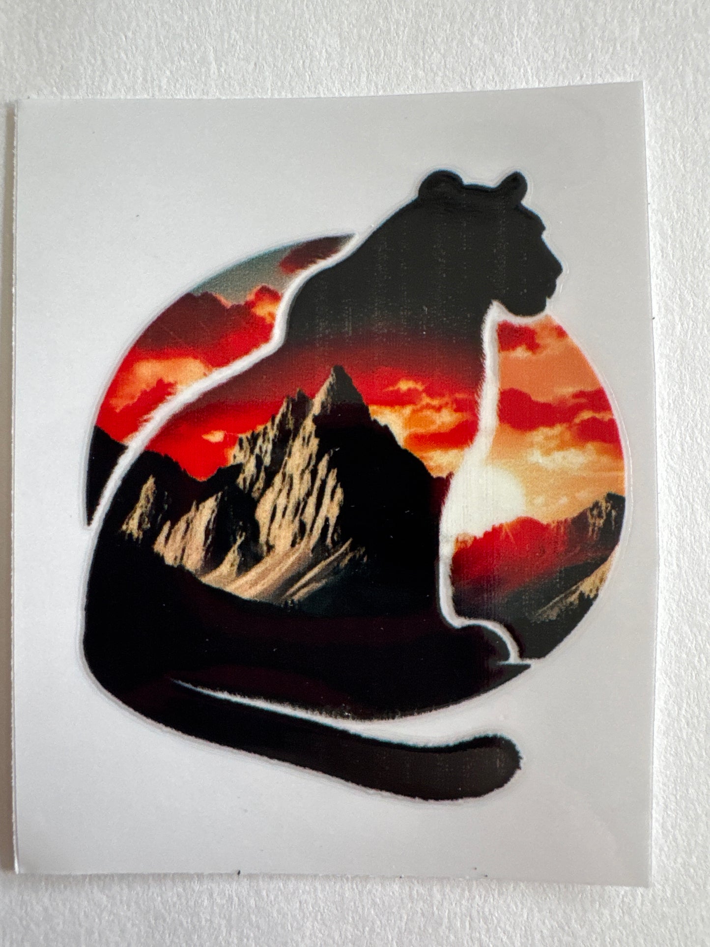 A116-mountainlion