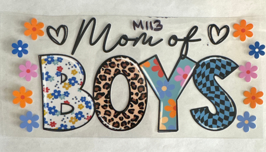 M113-boymom