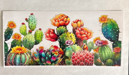 F121-cactus
