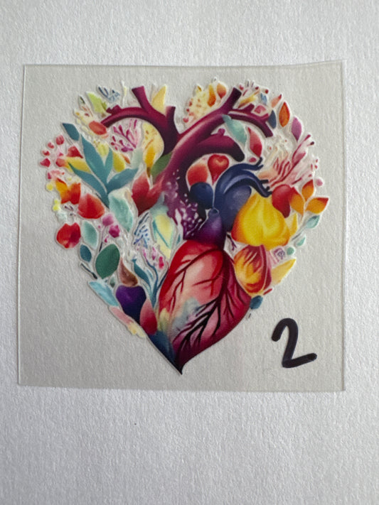 OB102-heart