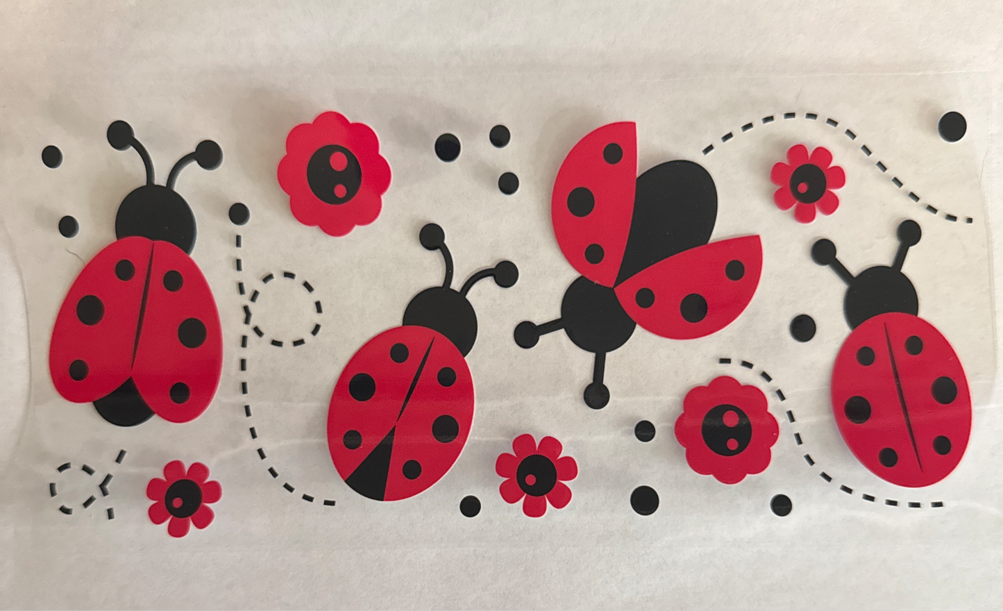 A145-ladybugs