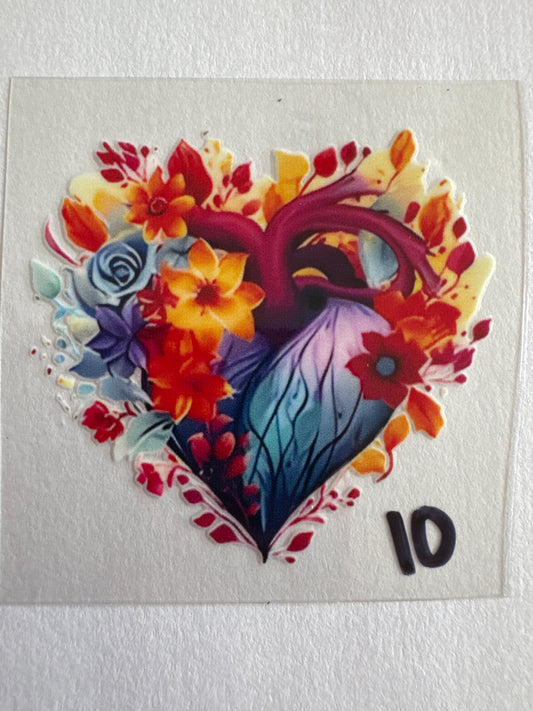 OB110-heart