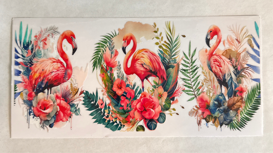 A143-flamingos