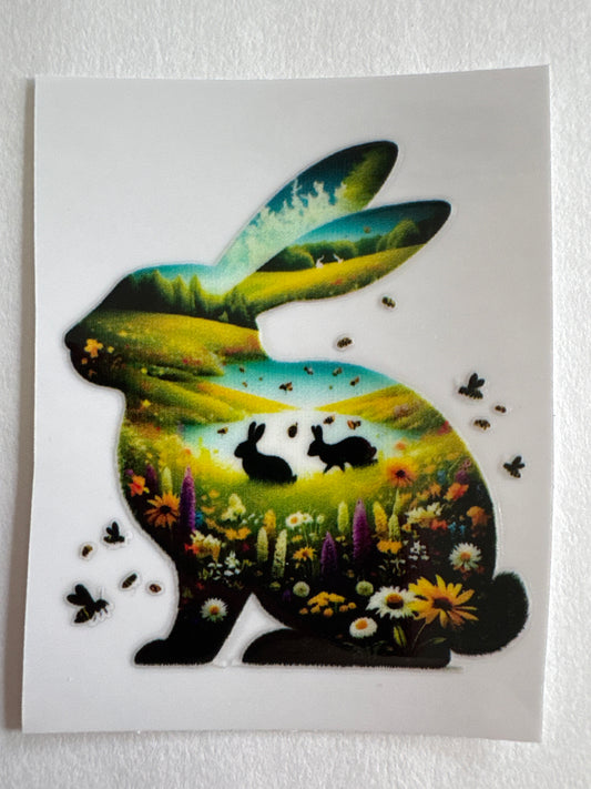 A123-rabbit
