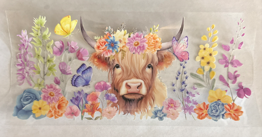 A138-highlandcow