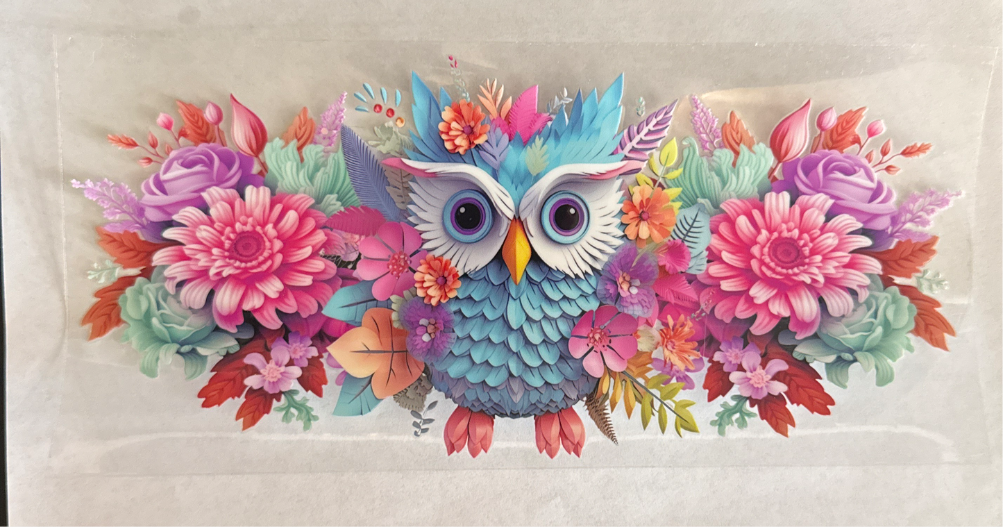 A147-owl
