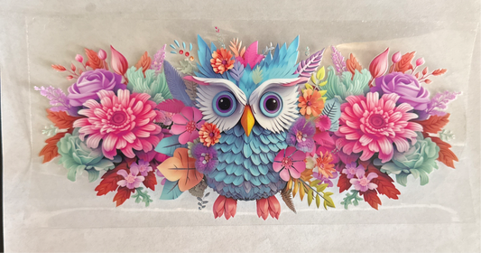 A147-owl