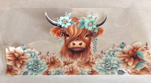 A136-highlandcow
